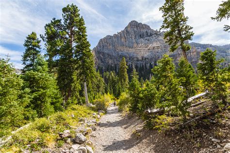 Escaping The Las Vegas Heat With A Fall Hike At Mount Charleston - Roadesque