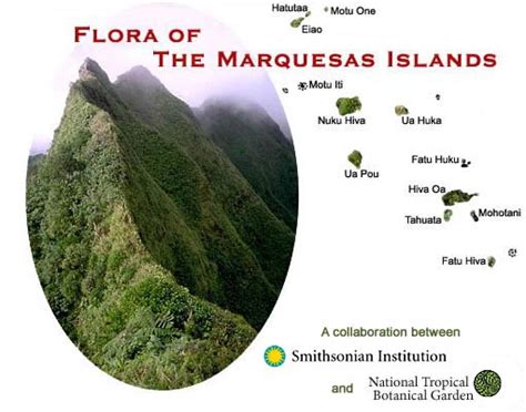 Flora of the Marquesas Islands