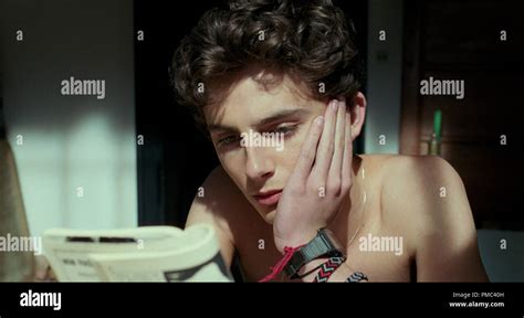 Timothee chalamet call me by your name hi-res stock photography and images - Alamy