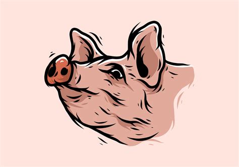 Vintage pig head illustration drawing 6466815 Vector Art at Vecteezy