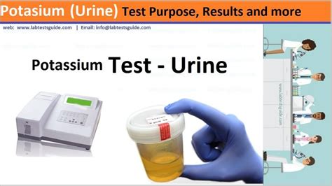 Potassium (Urine) Test Causes, Purpose, Overview and more - Lab Tests Guide