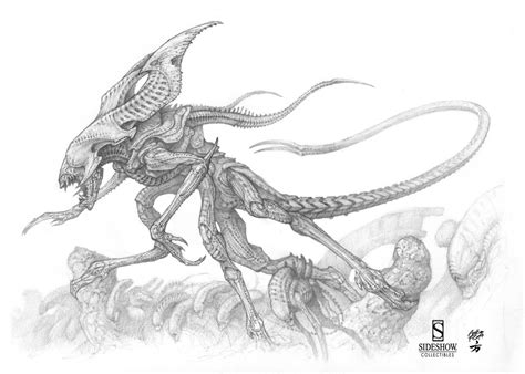 ALIEN KING sketches I did for Sideshow Collectibles, Amilcar Aldana ...