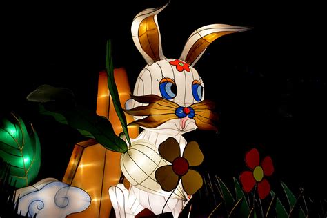 Chinese Zodiac - Rabbit | The lighted-up Chinese zodiac anim… | Flickr