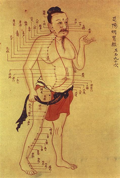 This ancient Chinese anatomical atlas changes what we know about ...