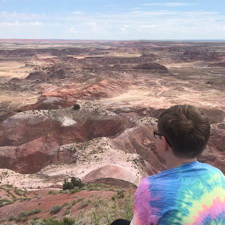 Petrified Forest National Park (Holbrook) - 2020 All You Need to Know ...