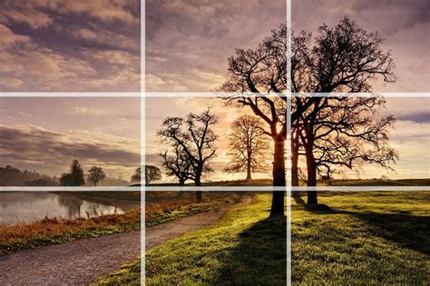 20 Composition Techniques That Will Improve Your Photos