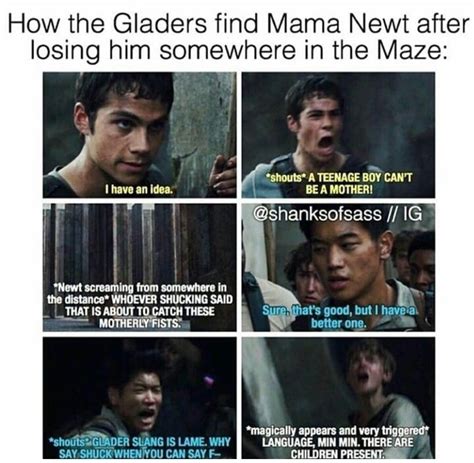 The Maze Runner, Maze Runner Memes, Maze Runner Imagines, Maze Runner ...