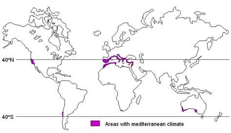 Mediterranean Climate (Western Margin Climate) - PMF IAS