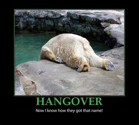 78 Best Funny Hangover Quotes on Pinterest | Hangover movie quotes ...