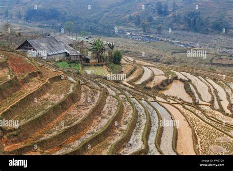 Sapa, Vietnam - February 16, 2016: Isolated house among the rice terraces of Sapa in north ...