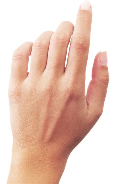 Hands PNG, hand image free transparent image download, size: 500x764px