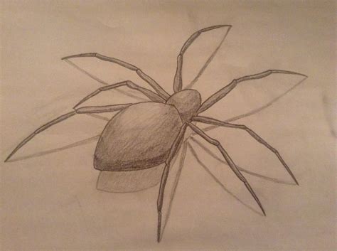 Simple 3D spider | Sketches easy, 3d drawings, Drawings