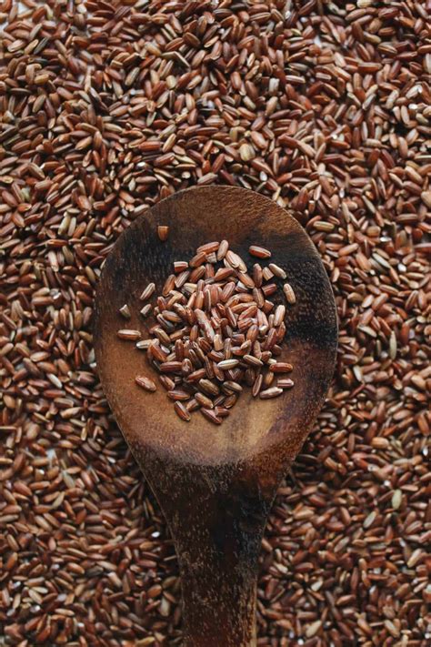 12 Brown Rice Protein Benefits All Of You Should Know