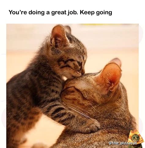 Good job friend. | /r/wholesomememes | Wholesome Memes | Know Your Meme