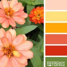 Buttered corn, Green color palettes and Color palettes on Pinterest | 색표, 컬러 팔레트, 색 패턴