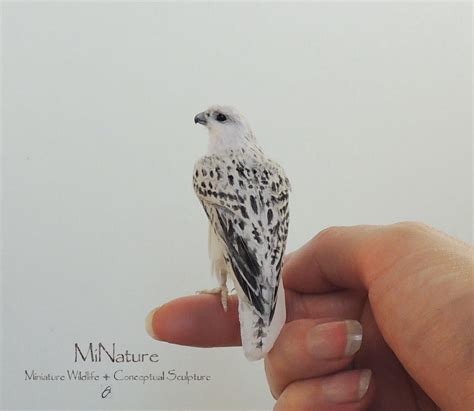 White - Morph Gyrfalcon by AnyaStone on DeviantArt