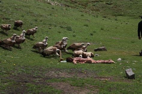 CONFESSIONS OF A FUNERAL DIRECTOR » Tibetan Sky Burial: 36 Photos