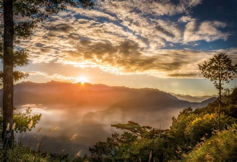 Taiwan Exclusive: Alishan Sunrise Guide to Welcome 2019 - KKday Blog