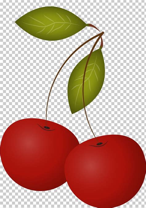 Cherry Leaf Drawing PNG, Clipart, Apple, Breath, Cherry, Cherry Blossom ...