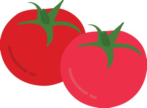 Hand drawn style drawing tomato 14455766 PNG