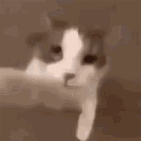 Cat Kissing GIF - Cat Kissing Mwah - Discover & Share GIFs | Kiss animated gif, Kiss meme ...