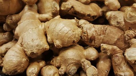 Soil Preparation for Ginger Plants: Best Soil Mix, pH, and Compost