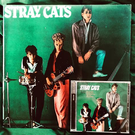 MONTREUX'81 | Stray cat, Rockabilly, Cats