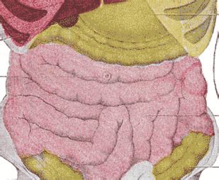 Functional Abdominal Pain Syndrome in a Nonagenarian | Consultant360