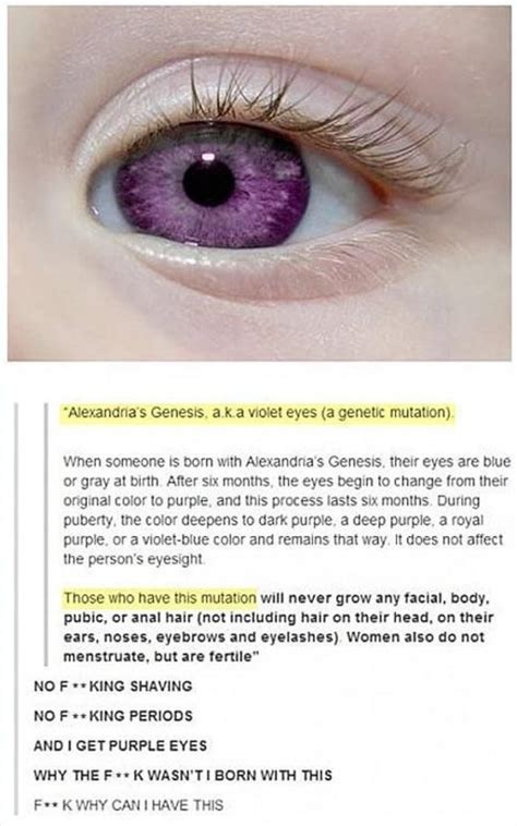 "Alexandria's Genesis, a.k.a violet eyes (a genetic mutation) When ...