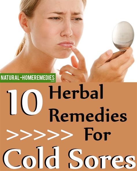 10 Herbal Remedies For Cold Sores – Natural Home Remedies & Supplements