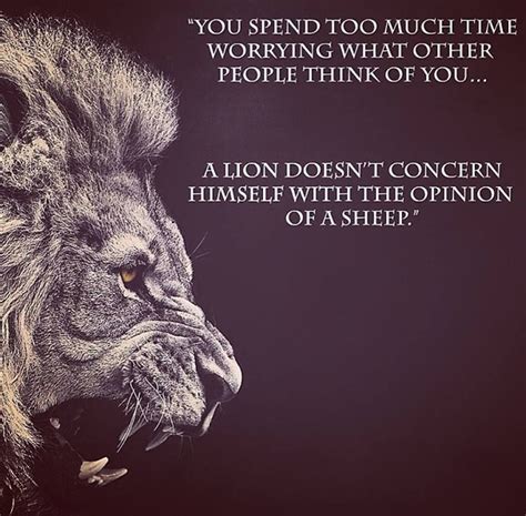 a lion's face with the words, you spend too much time worrying what other people think of you