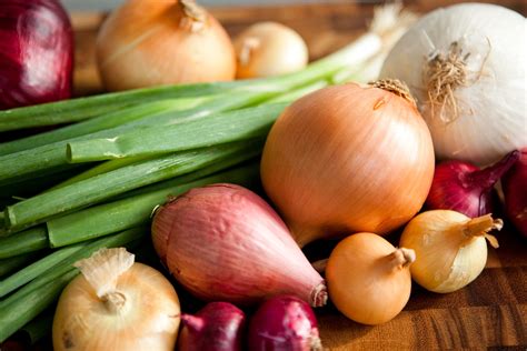 Onions: Six Different Types and How to Use Them