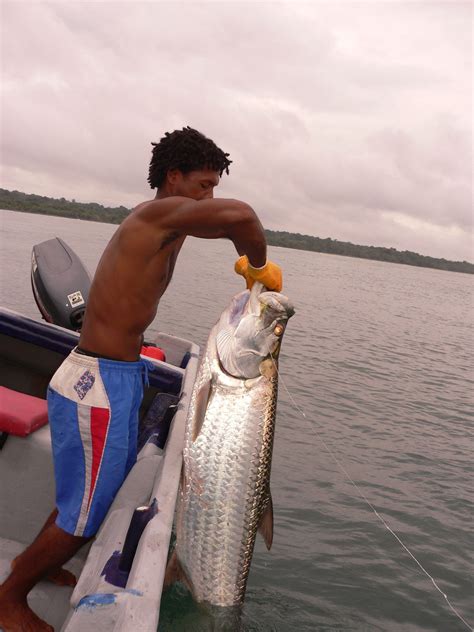 Catching a Tarpon in Costa Rica