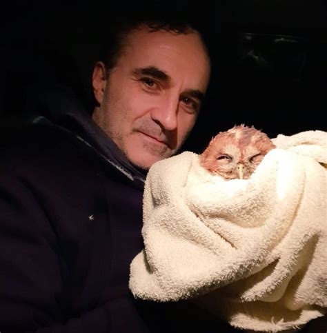 Noel Fitzpatrick (@ProfNoelFitz) | Twitter | Noel, Cool eyes, Cat dad