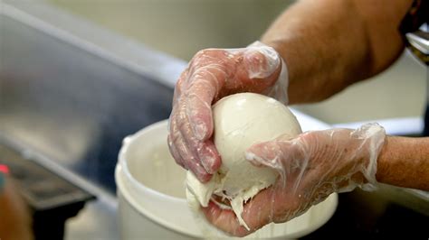 Buffalo Mozzarella - 6abc Philadelphia