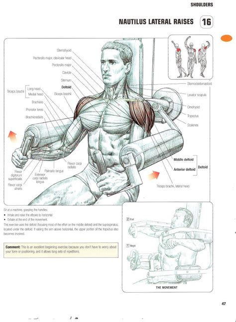 Strength Training Anatomy 2nd Edition