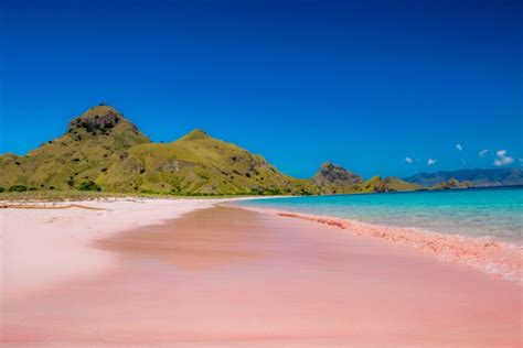 Una playa de arena rosa en Komodo, Indonesia – 101 Lugares increíbles