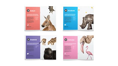 Chester Zoo Rebrand on Behance