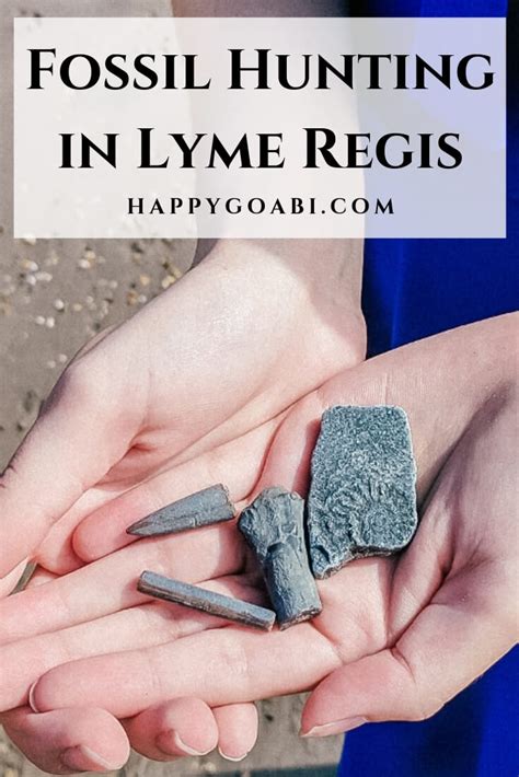 Fossil Hunting in Lyme Regis: A Trip to the Jurassic Coast