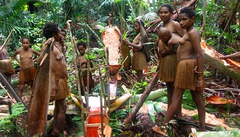 Facts About Korowai Tribe in Southern Papua | Authentic Indonesia Blog