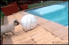 Funny Epic Fail Gifs