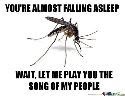 Mosquito Memes That Are Nothing to Swat At - Gallery | eBaum's World