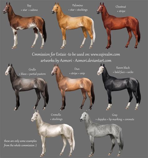 Akhal-Teke horses of different colors | Akhal teke horses, Horses, Beautiful horses