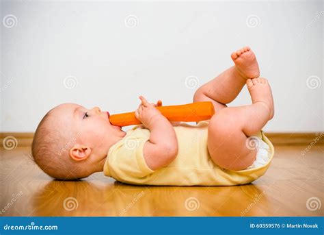 Baby eating carrot stock photo. Image of childhood, toddler - 60359576