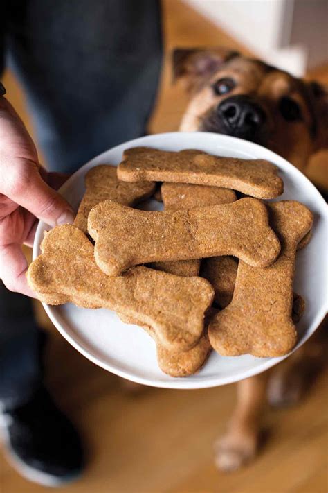 How To Make Cookies For Dogs Recipe at Tina Byrd blog