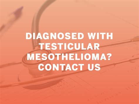 Testicular Mesothelioma: Causes, Symptoms & Treatment