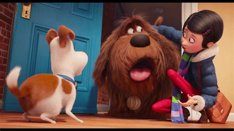 The Secret Life of Pets - Trailer 3 (Universal Pictures) - YouTube