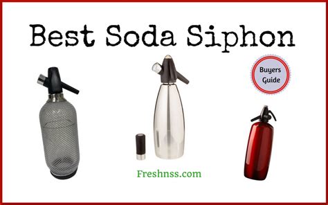 9 Best Soda Siphon, Plus 1 to Avoid (2022 Buyers Guide) | Freshnss