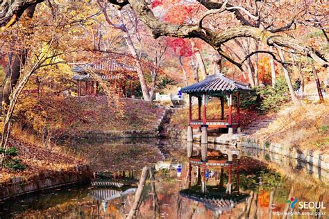 Seoul: Changdeokgung Palace | Unesco sites, Seoul, Scenery