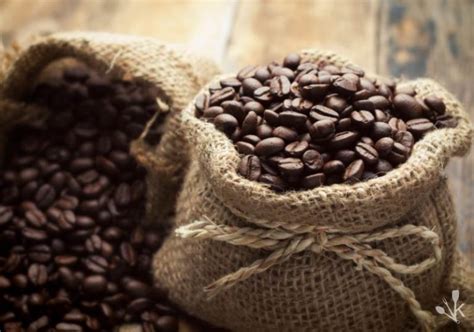 3 Best Colombian Coffee Brands You Need To Try | KitchenSanity